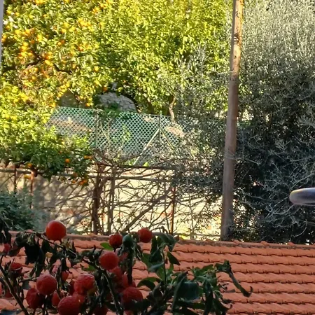 La Perla Appartamento Mentone